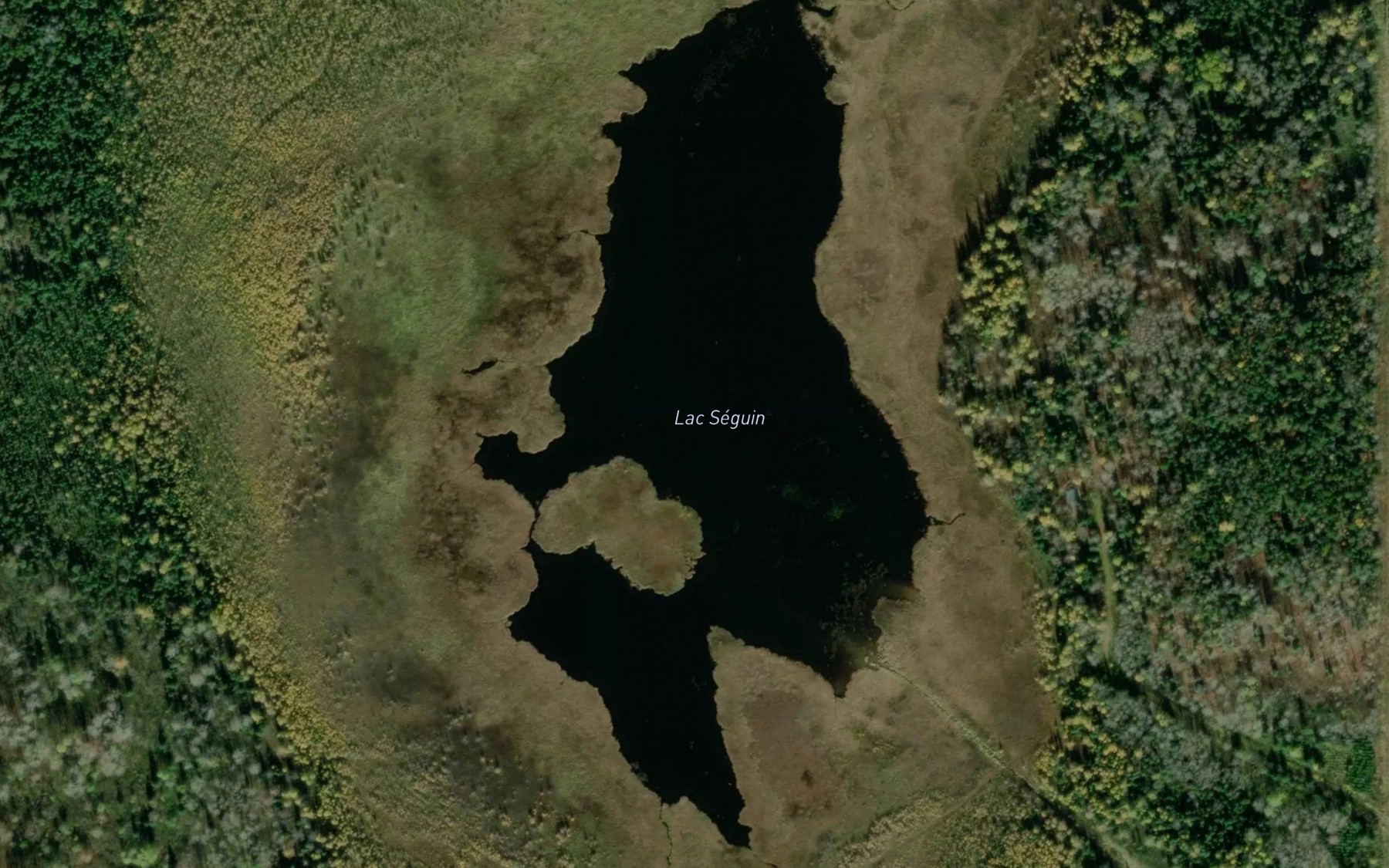 Satellite map of the Lac Seguin