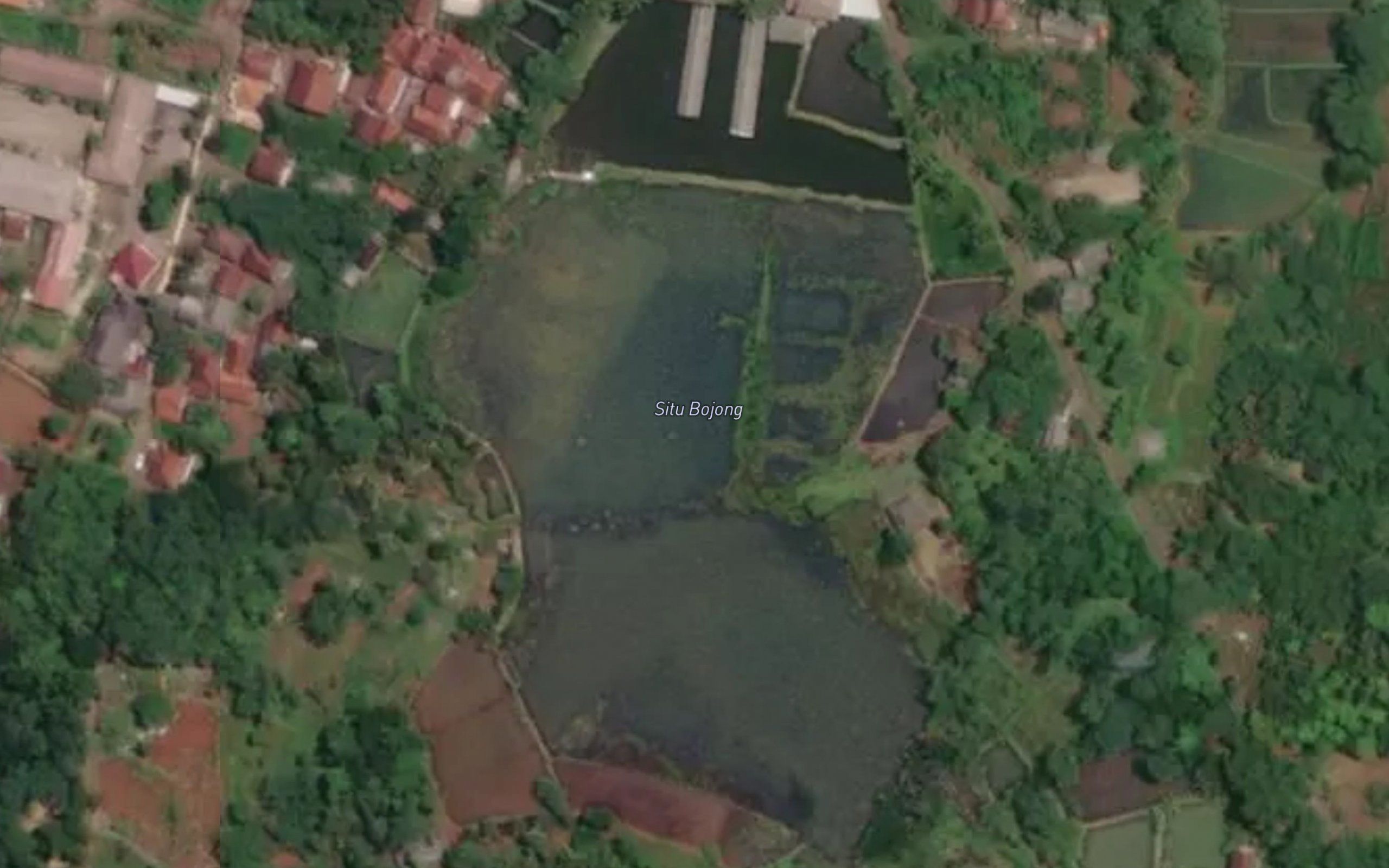 Situ Bojong
