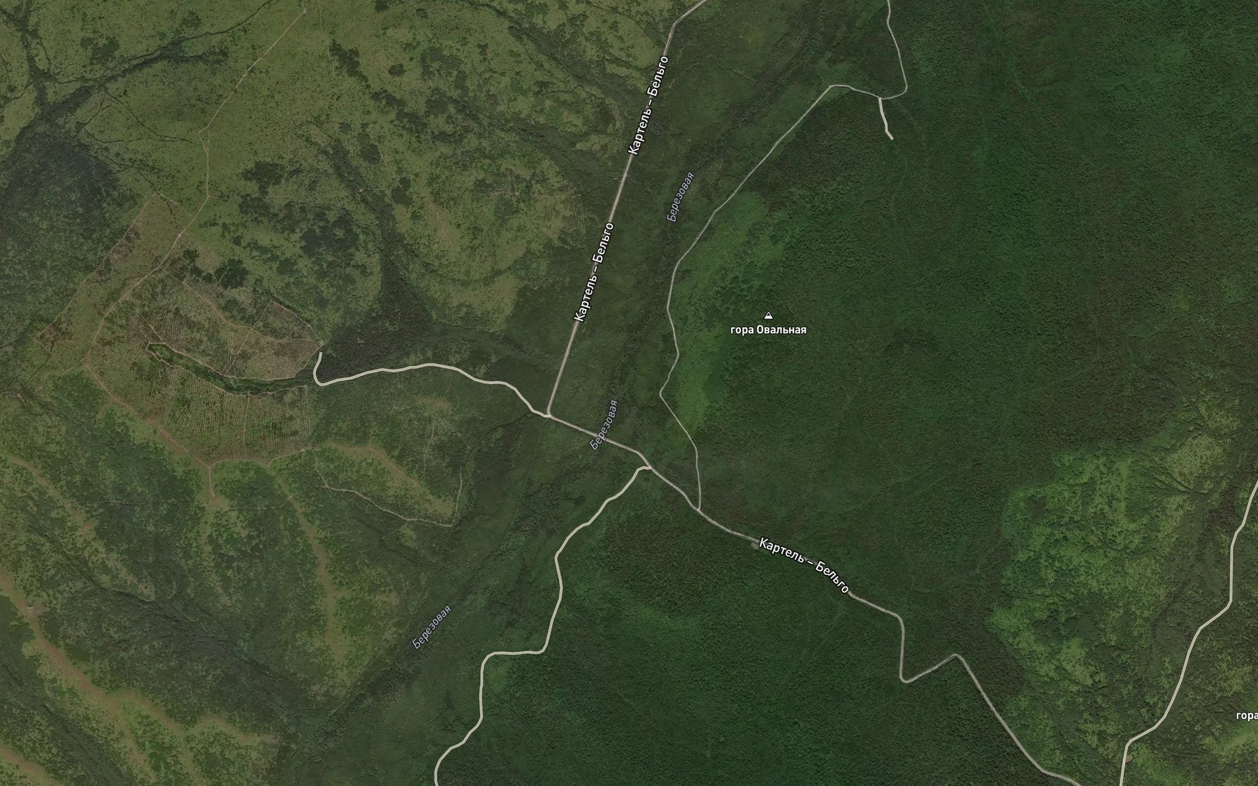 Satellite map of the Topkiy