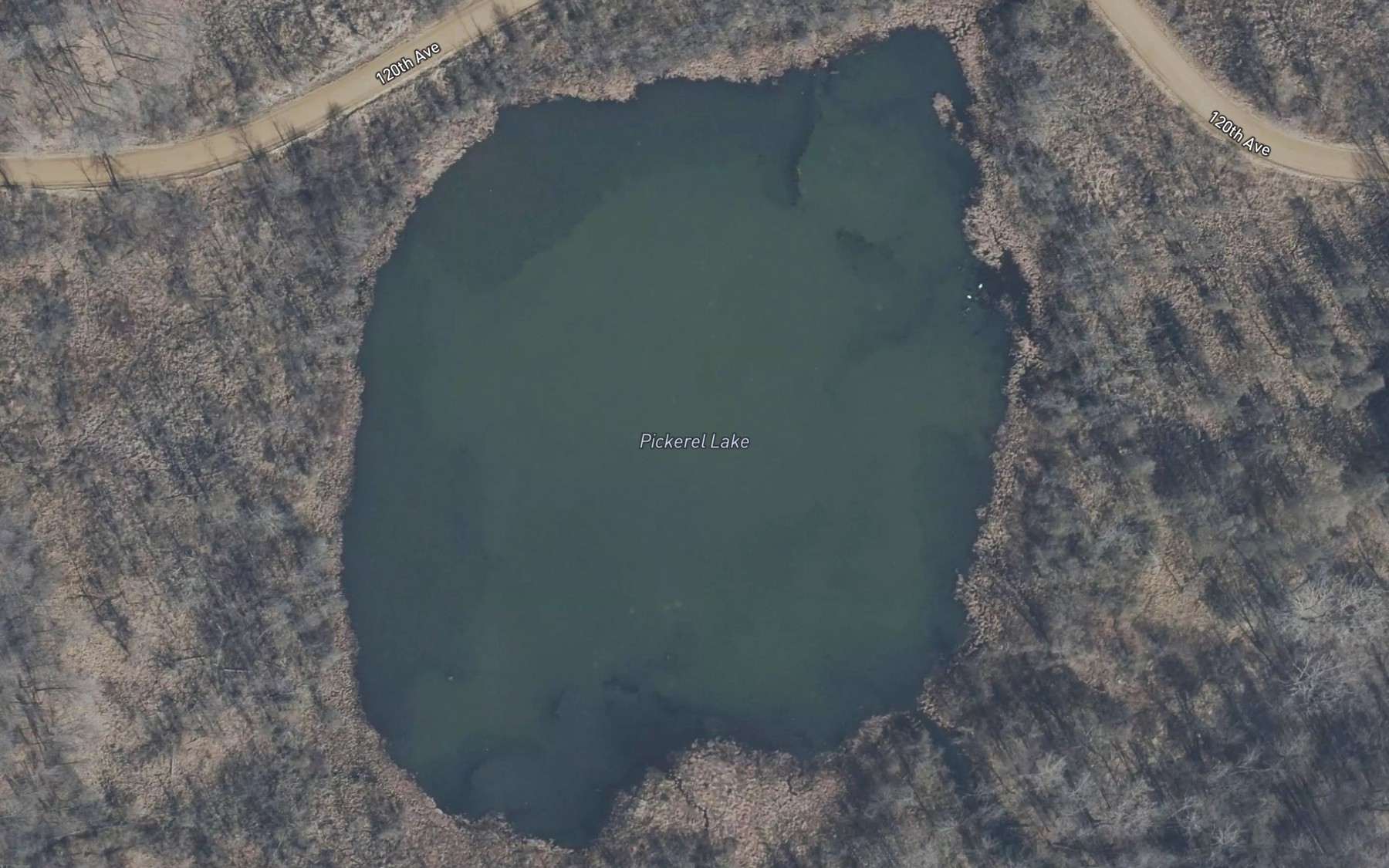 Satellite map of the Pickerel Lake