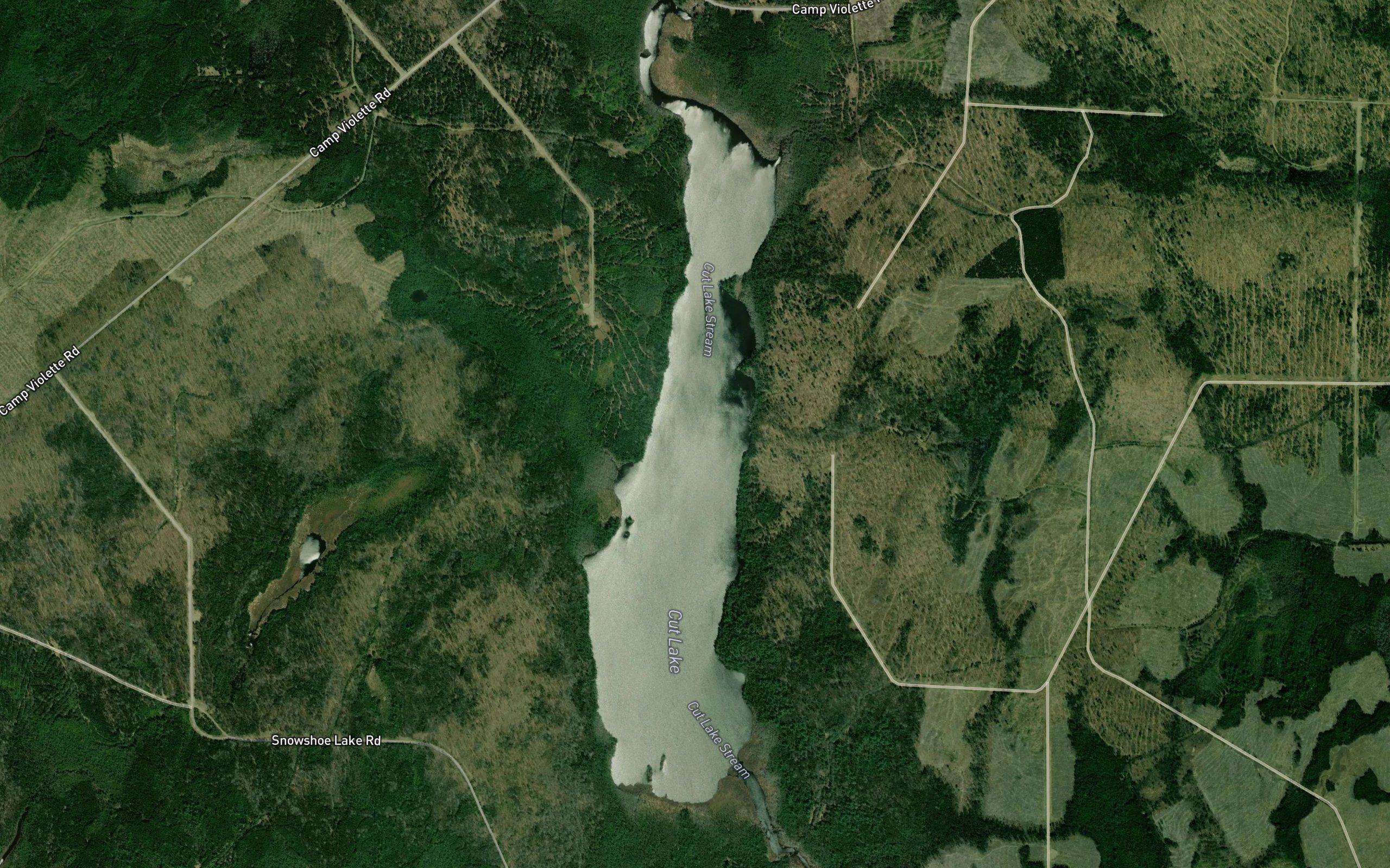 Cut Lake