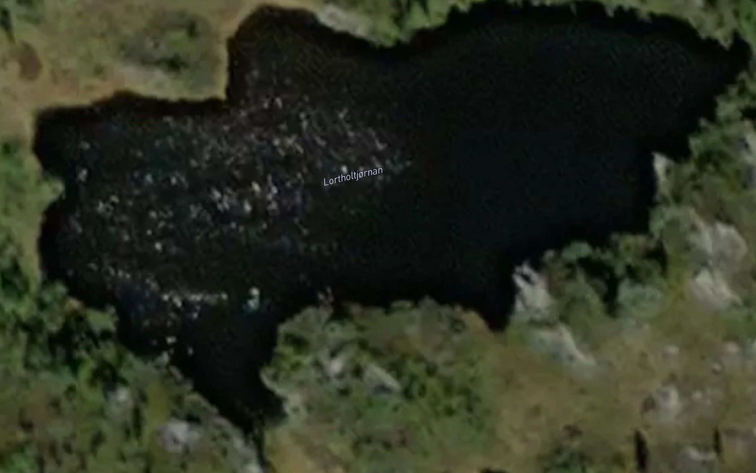 Lortholtjornan