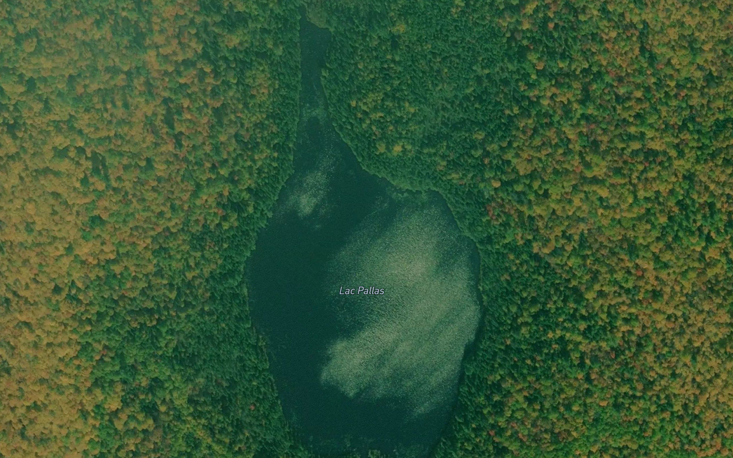 Lac Pallas
