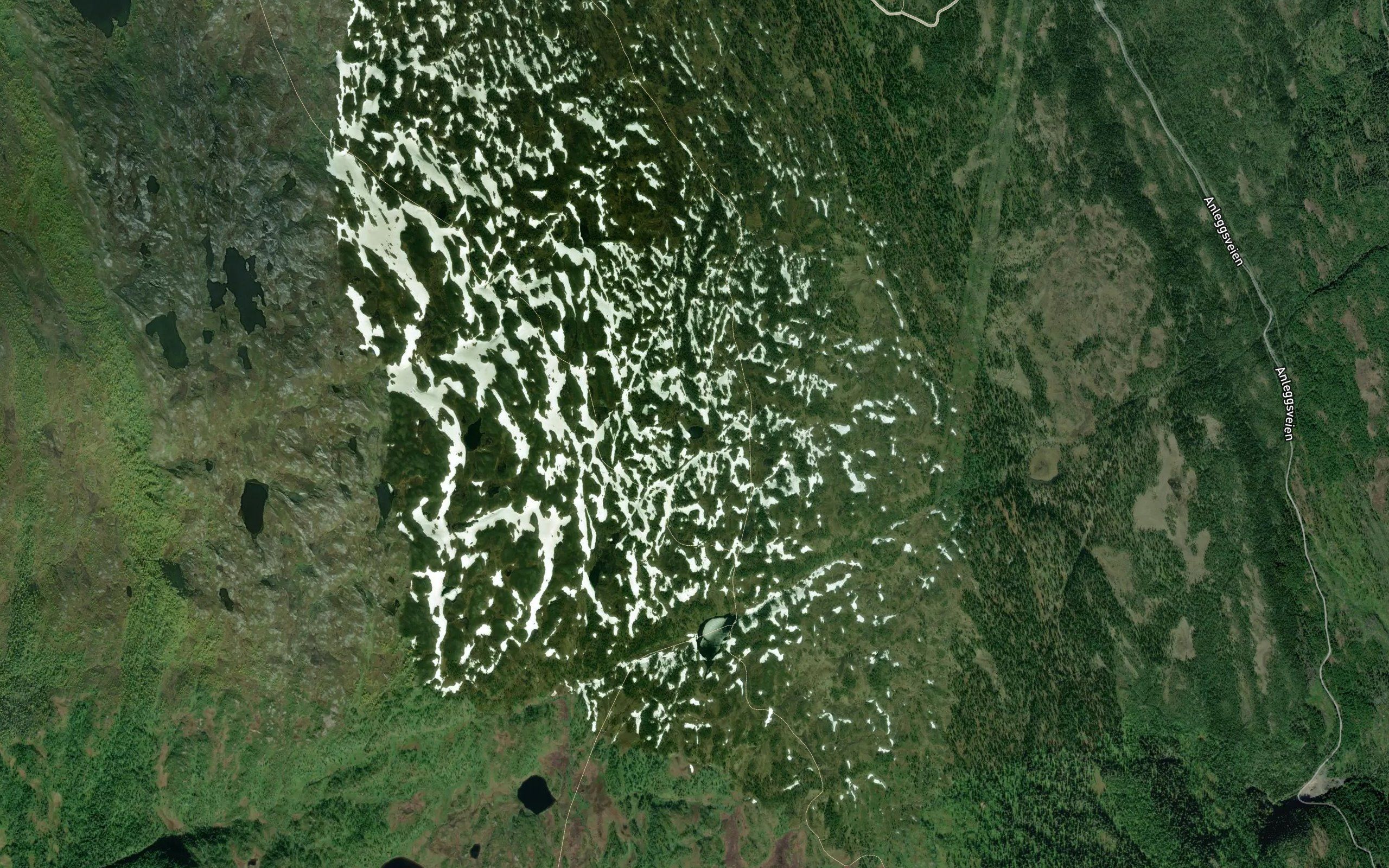 Battjorna