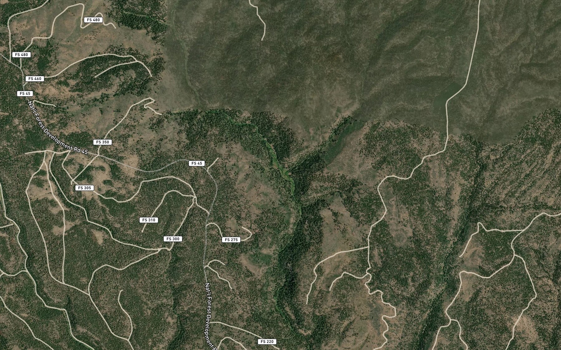 Satellite map of the Delintment Creek