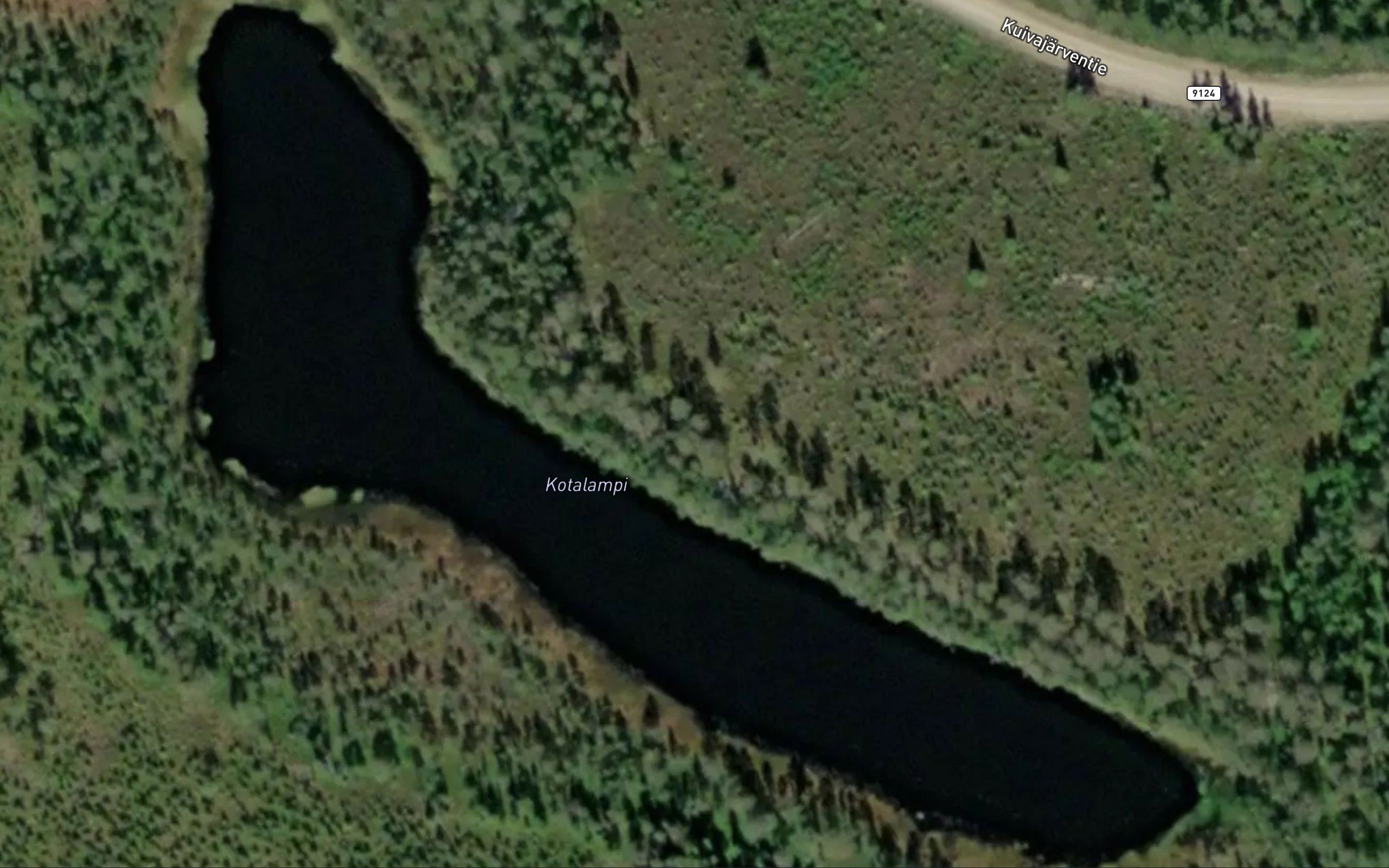 Kotalampi
