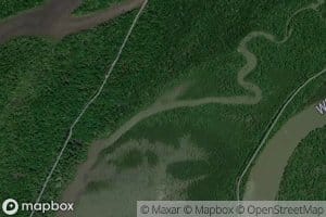 Prosperous Bayou