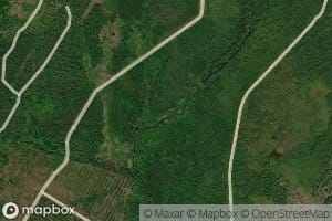 Northwest Branch Noonan Stream