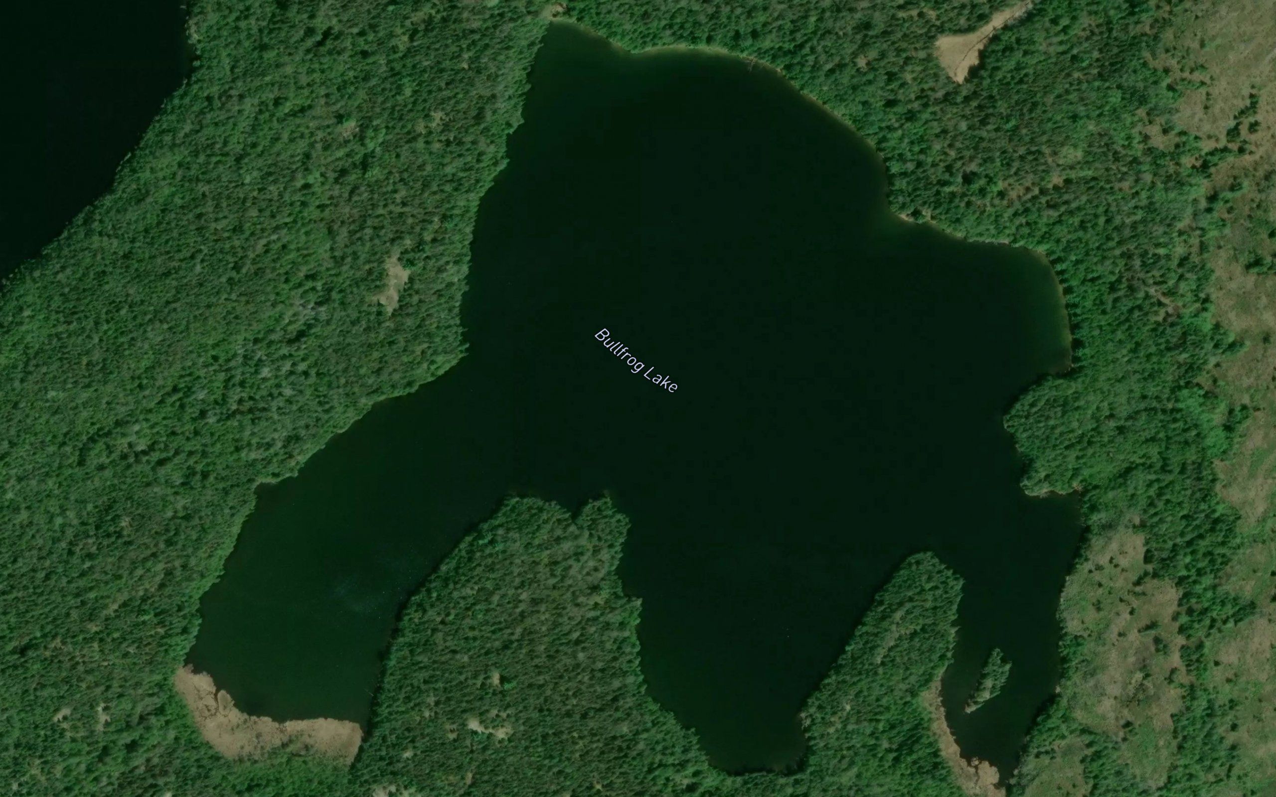 Bullfrog Lake