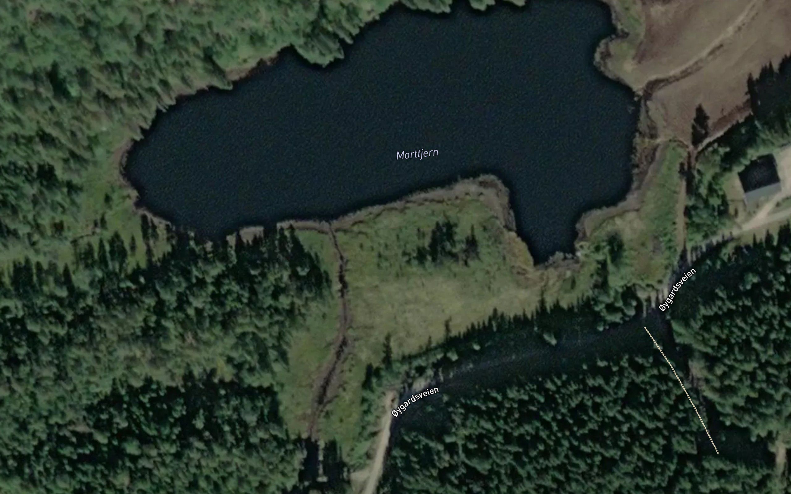 Morttjern