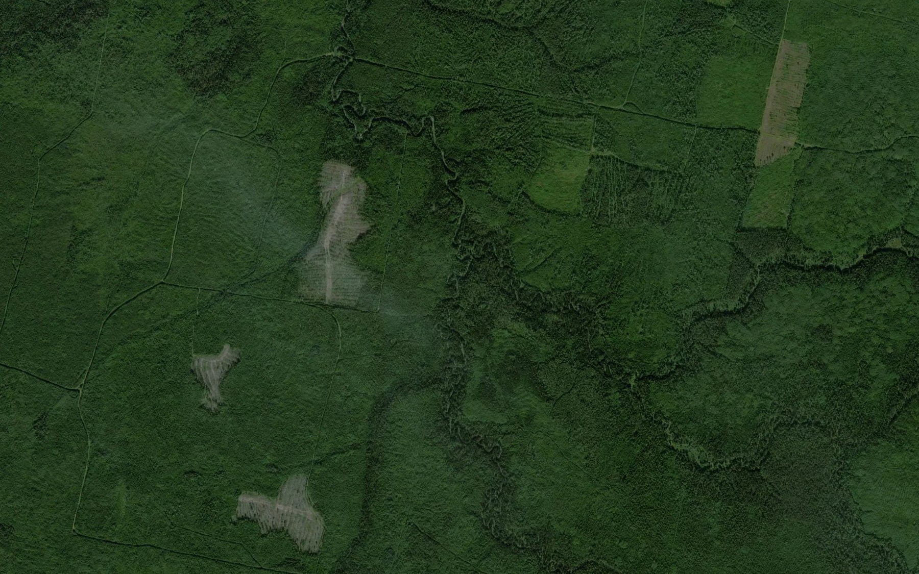 Satellite map of the Ivan-Vozh