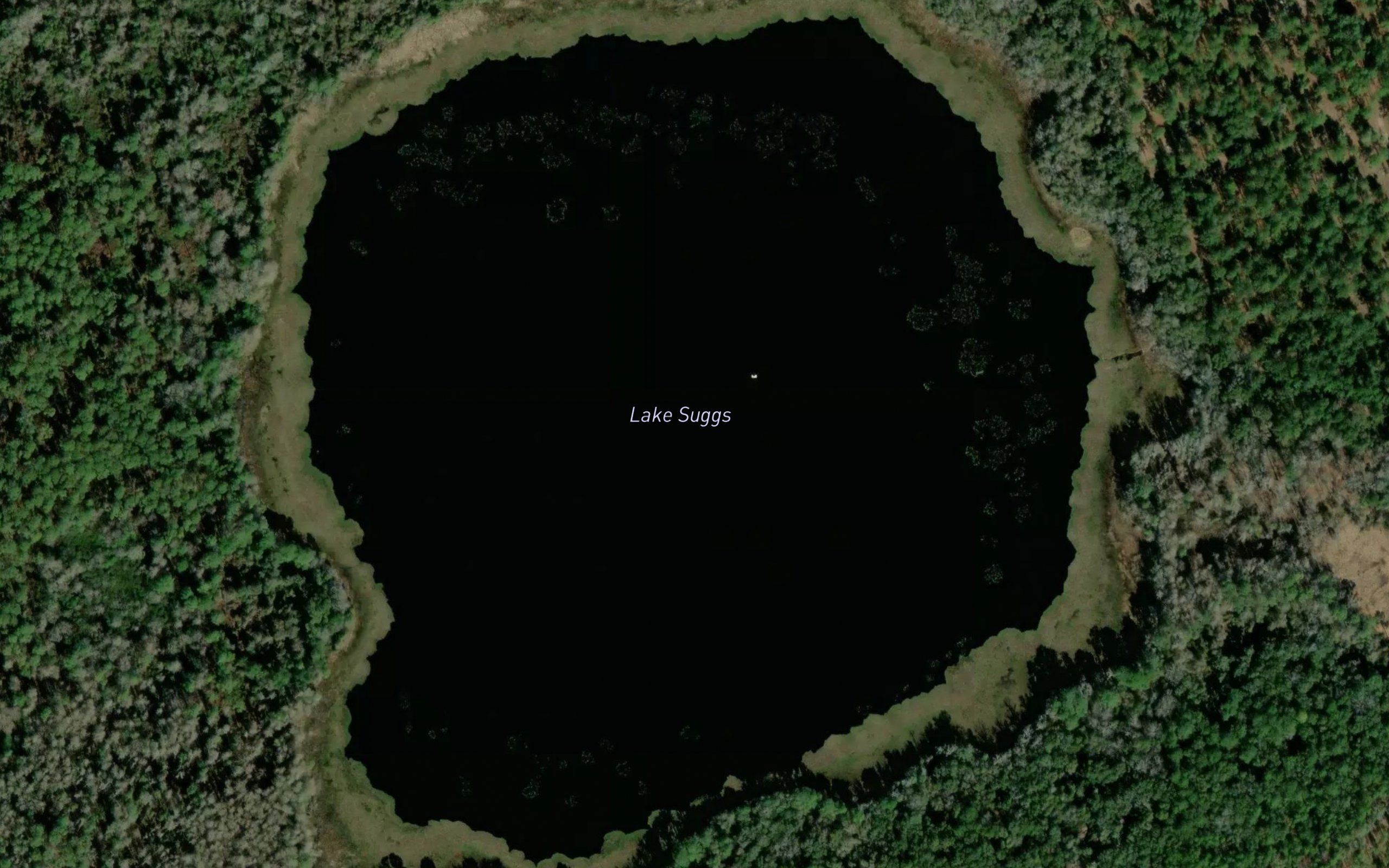 Lake Suggs