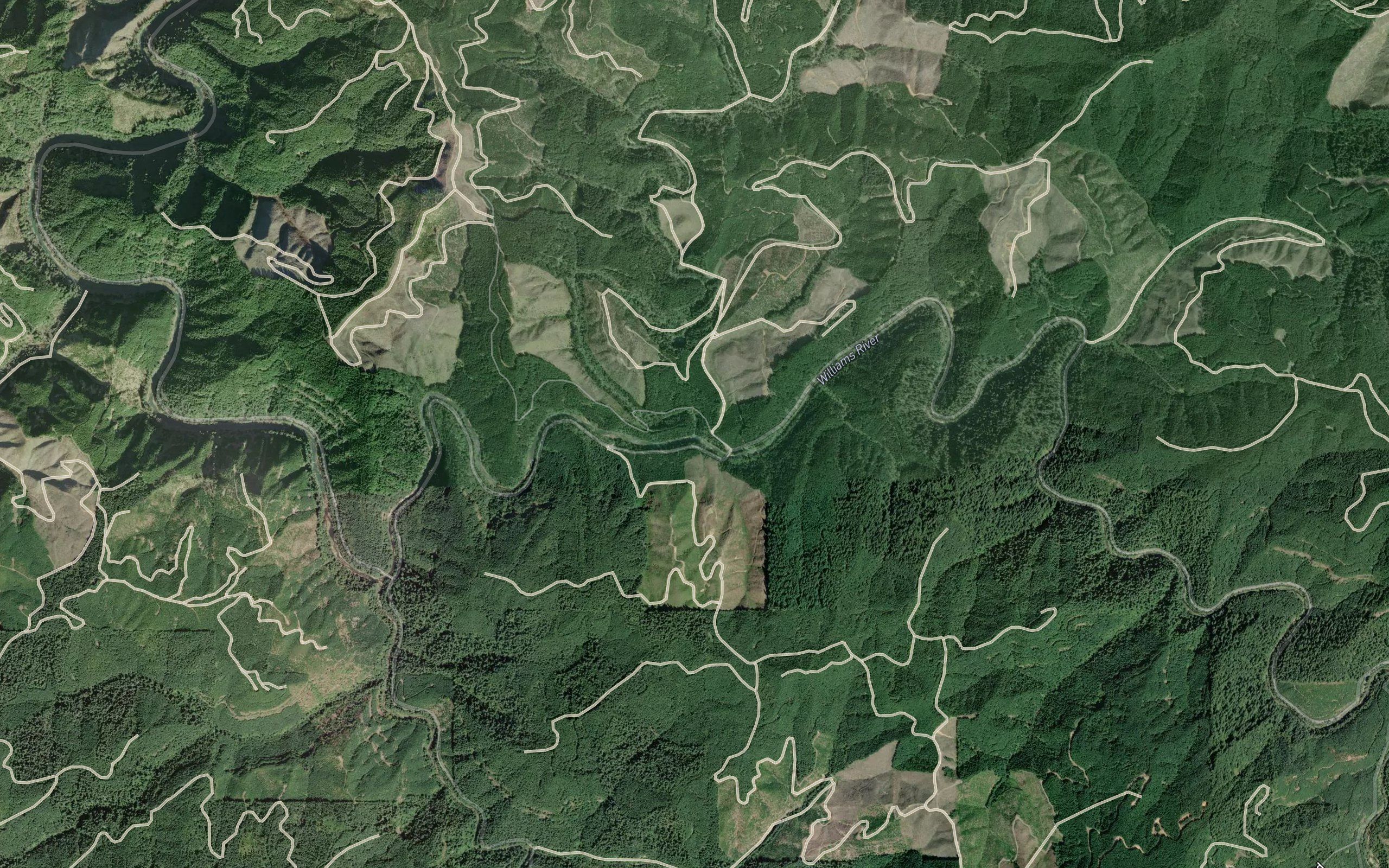 Bottom Creek