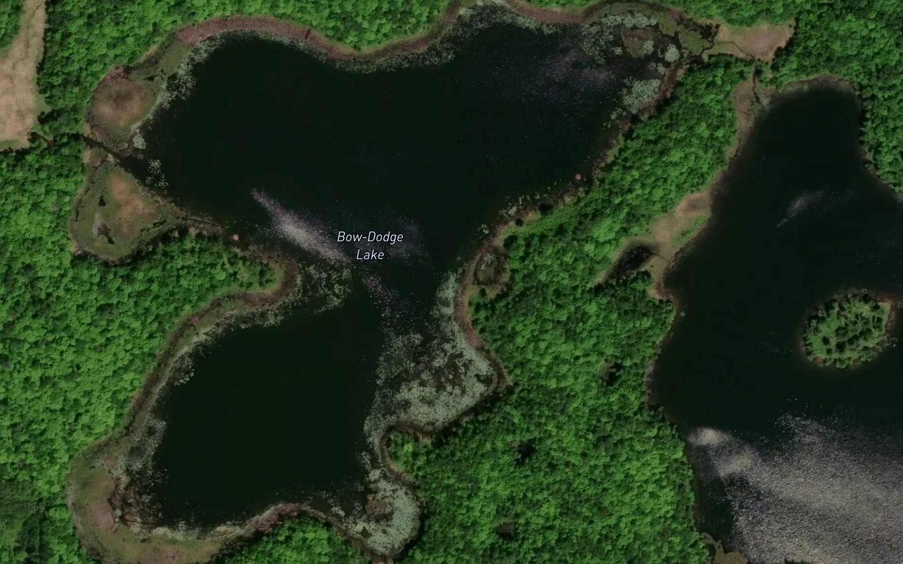 Satellite map of the Bow-Dodge Lake