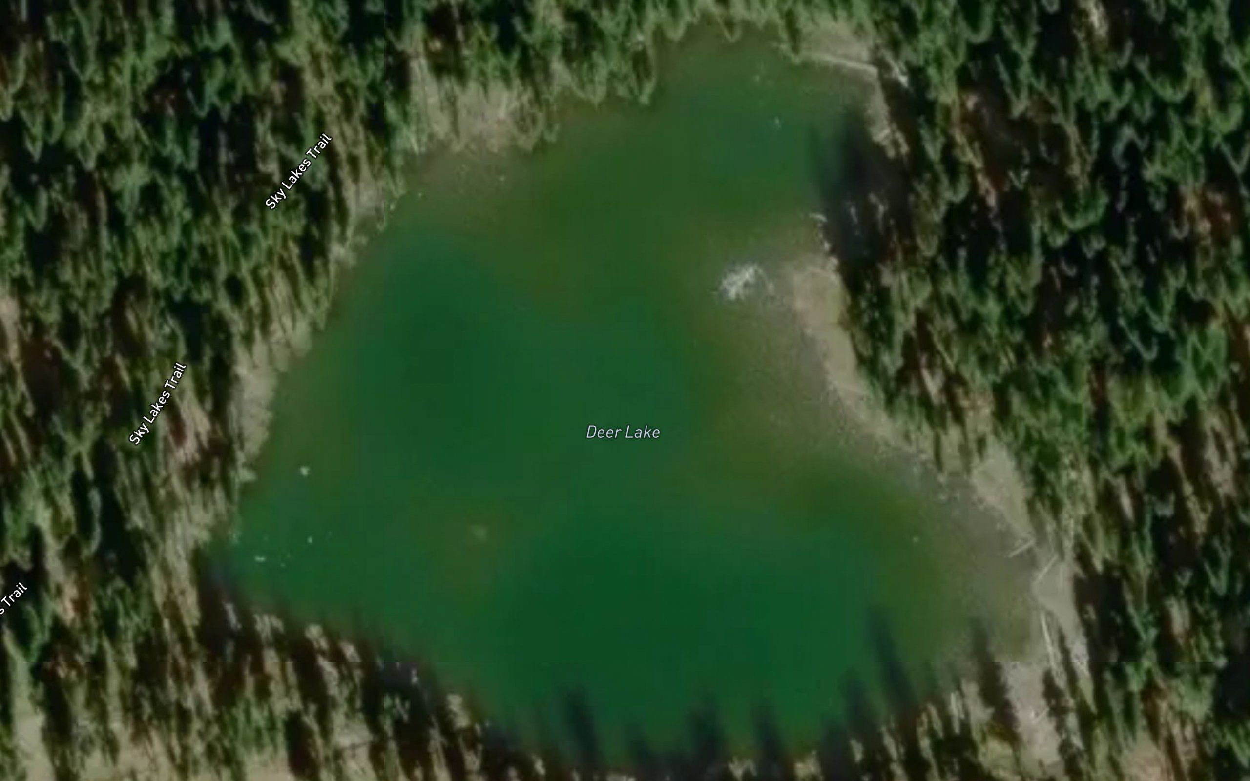 Deer Lake