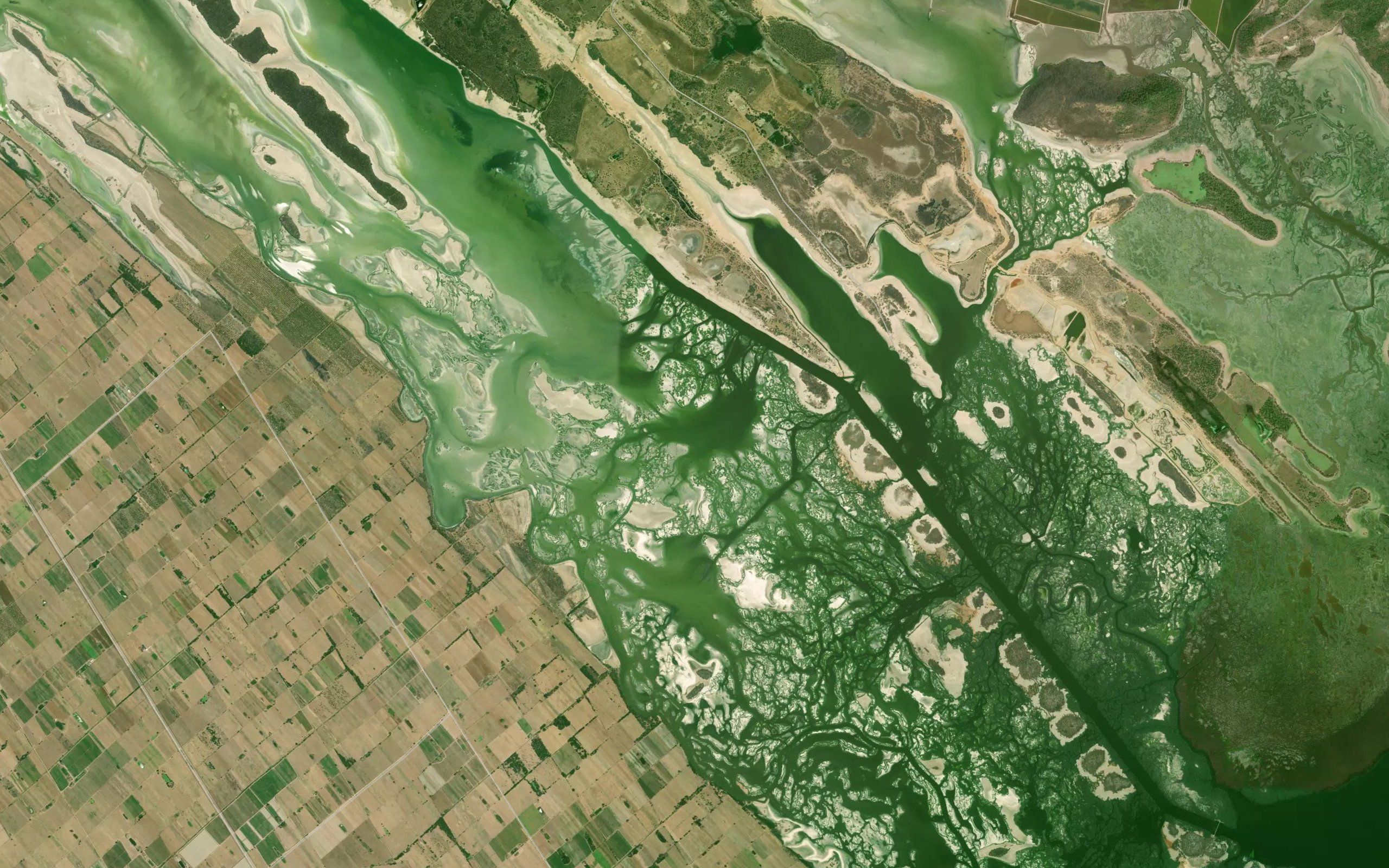 Laguna de Vacas