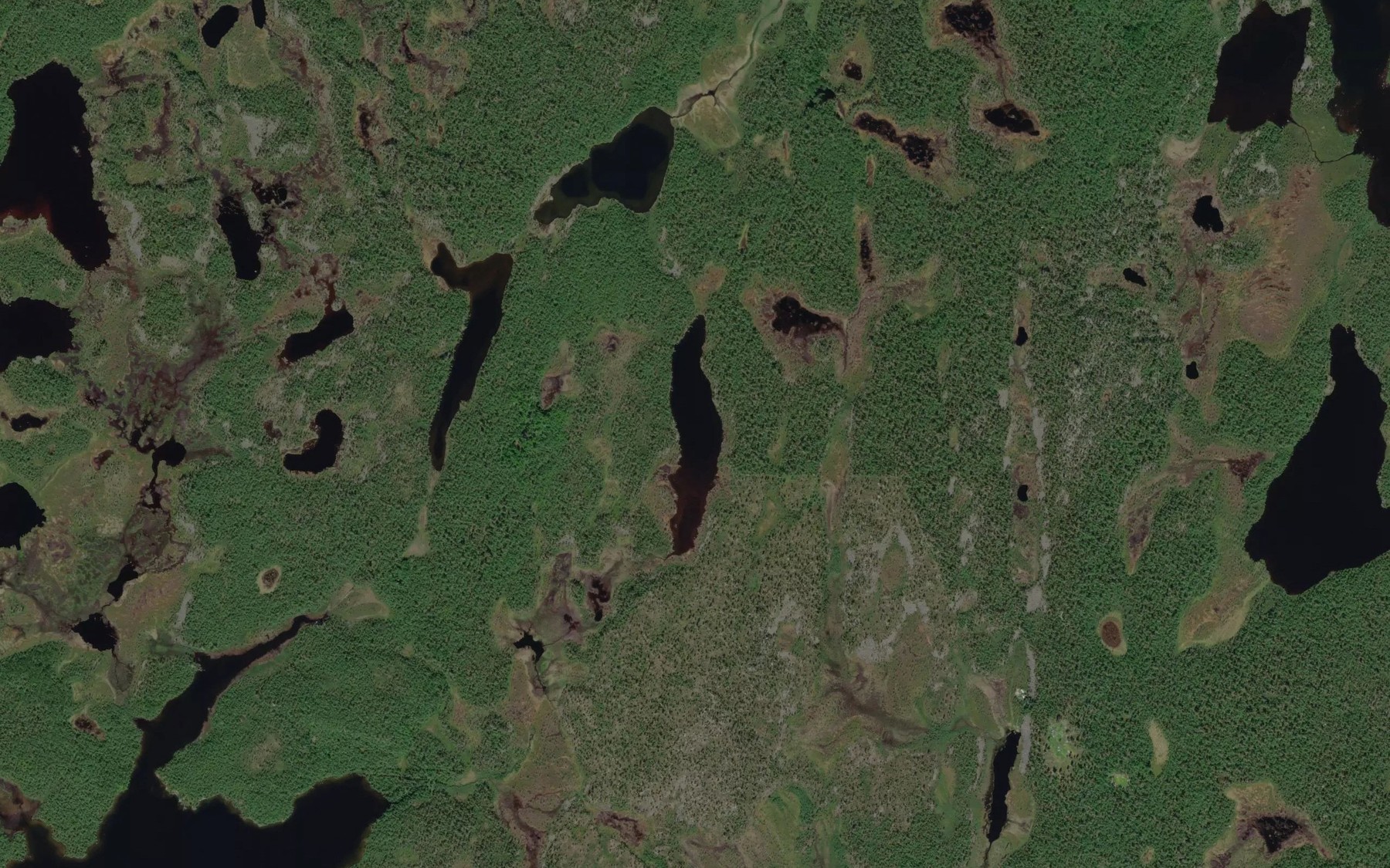 Satellite map of the Pitkajarvi