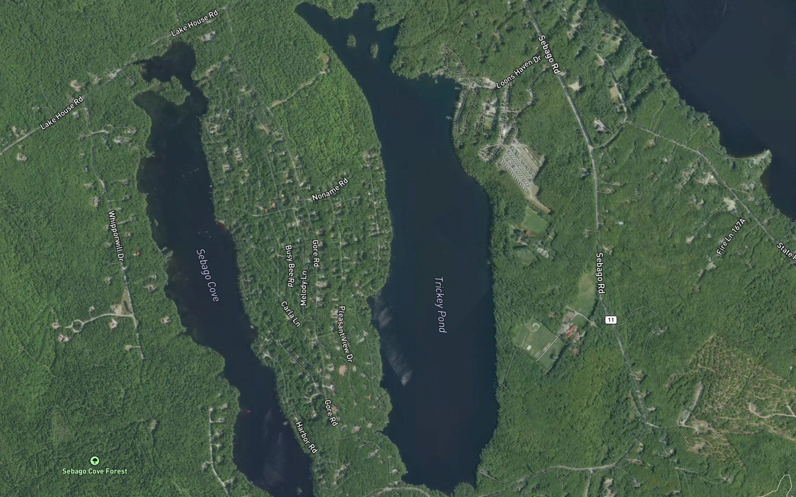 Trickey Pond