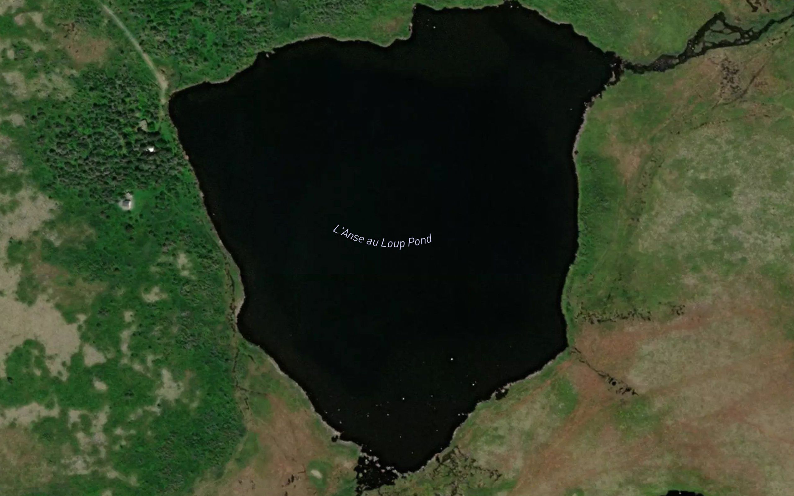 L'Anse au Loup Pond