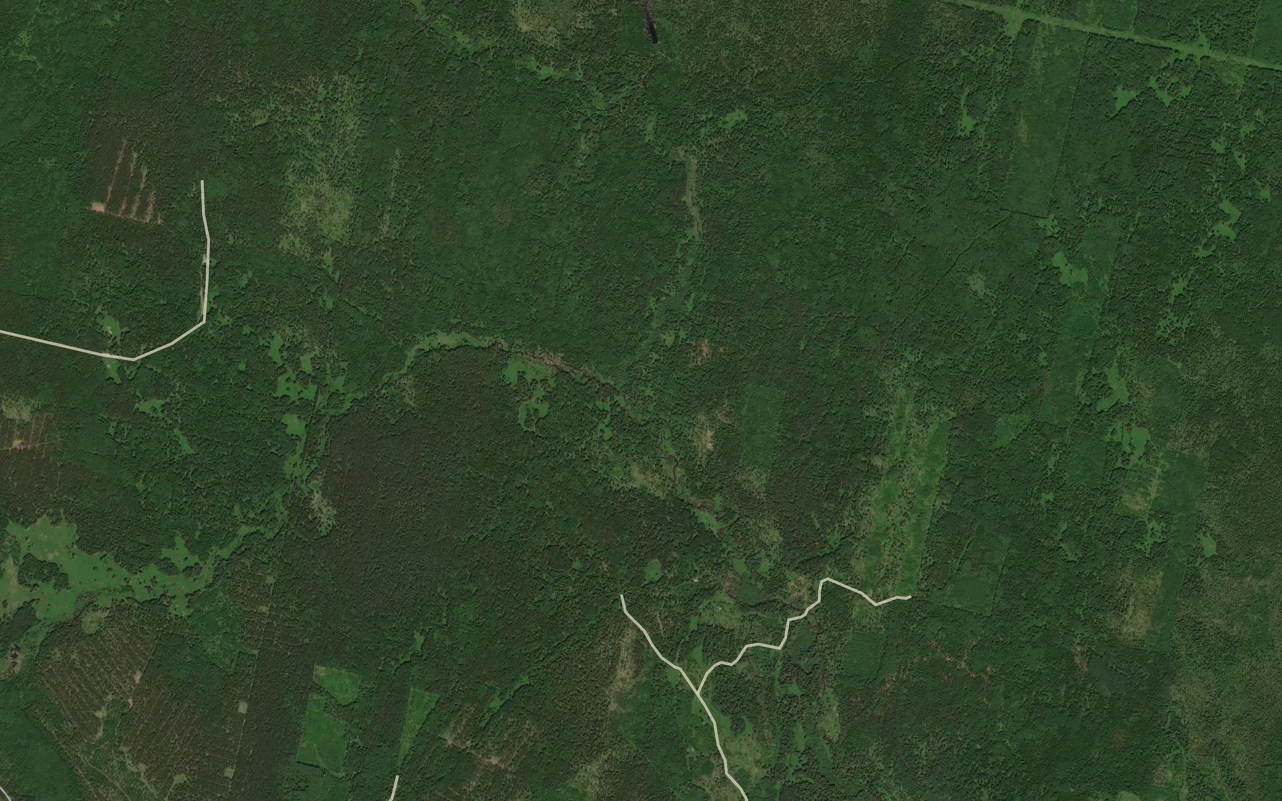 Satellite map of the Vodyanovka