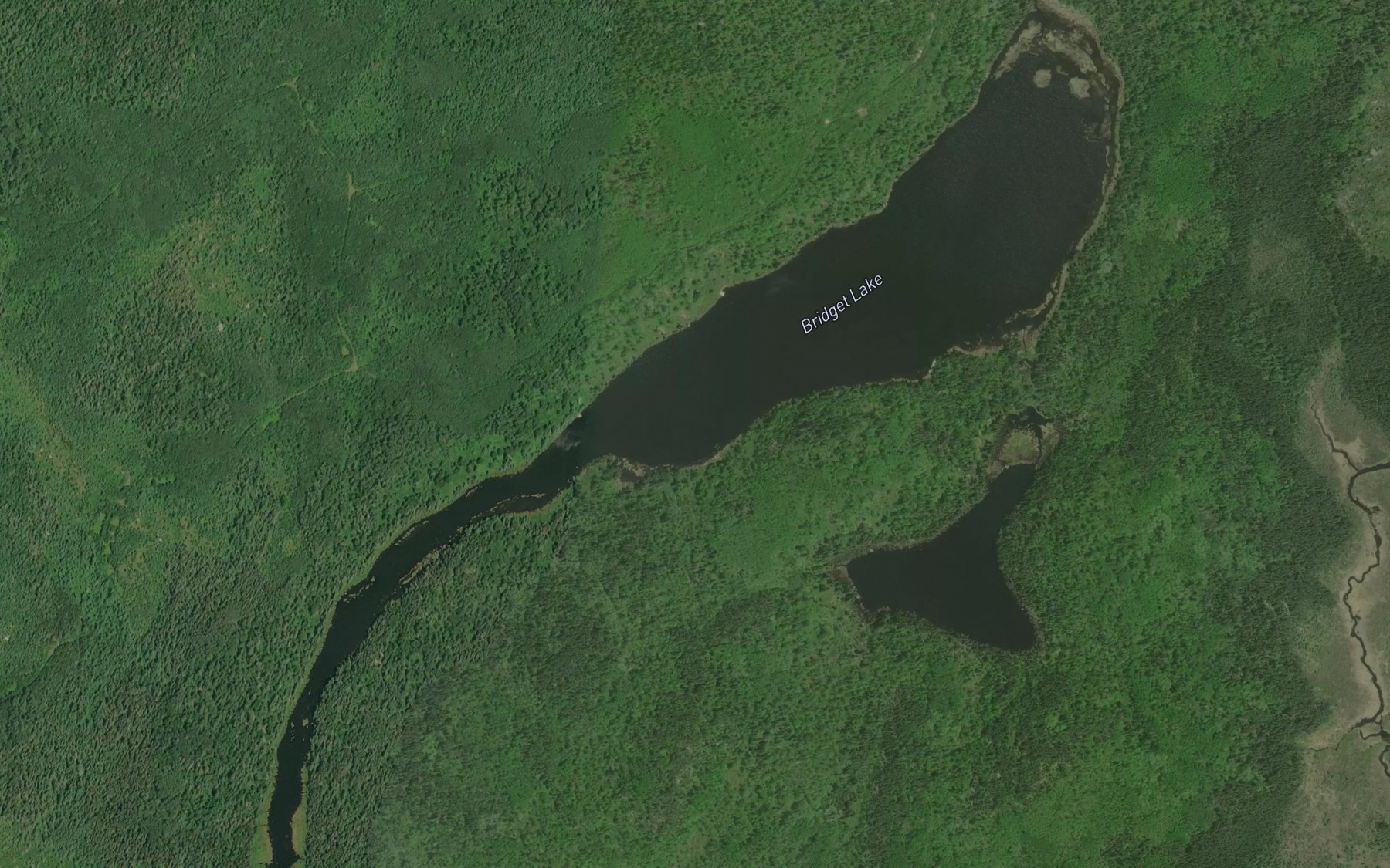 Satellite map of the Bridget Lake