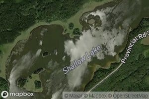 Shallow Lake