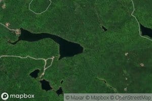 Lac Flynn