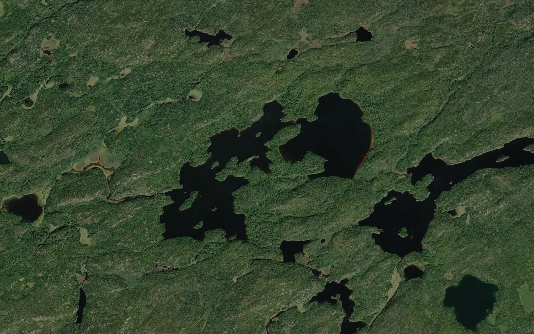 Satellite map of the Rob's Lake