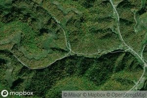 Patton Fork