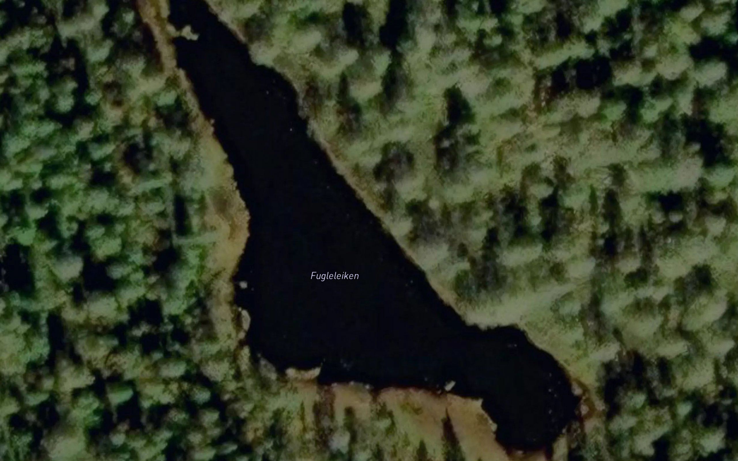 Fugleleiken