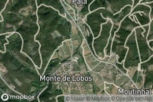 Ribeiro de Palheiros