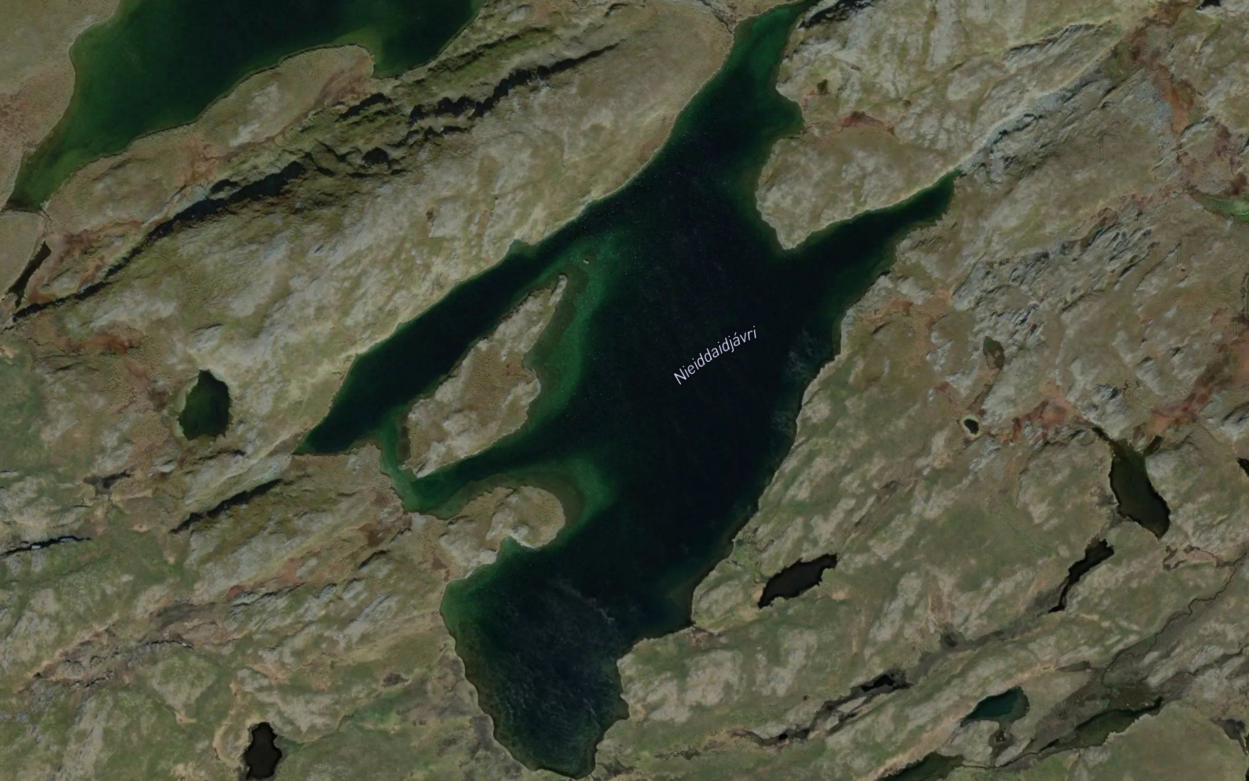Nieidajavri