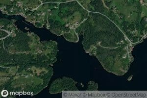Fuglevik