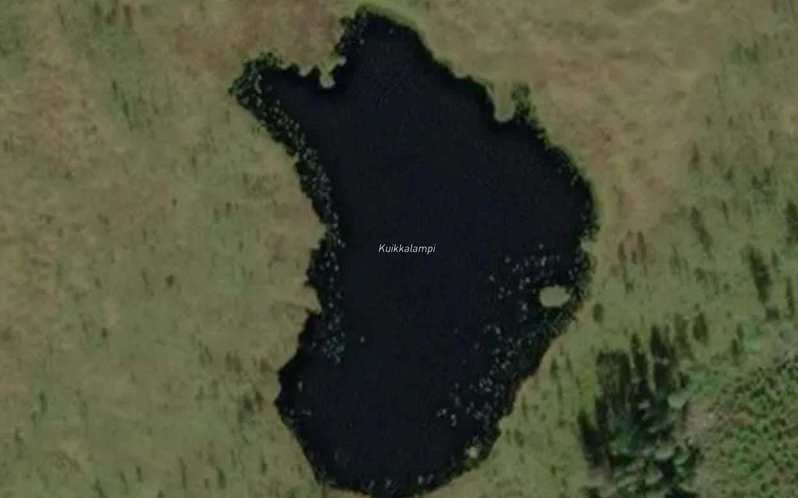 Kuikkalammit