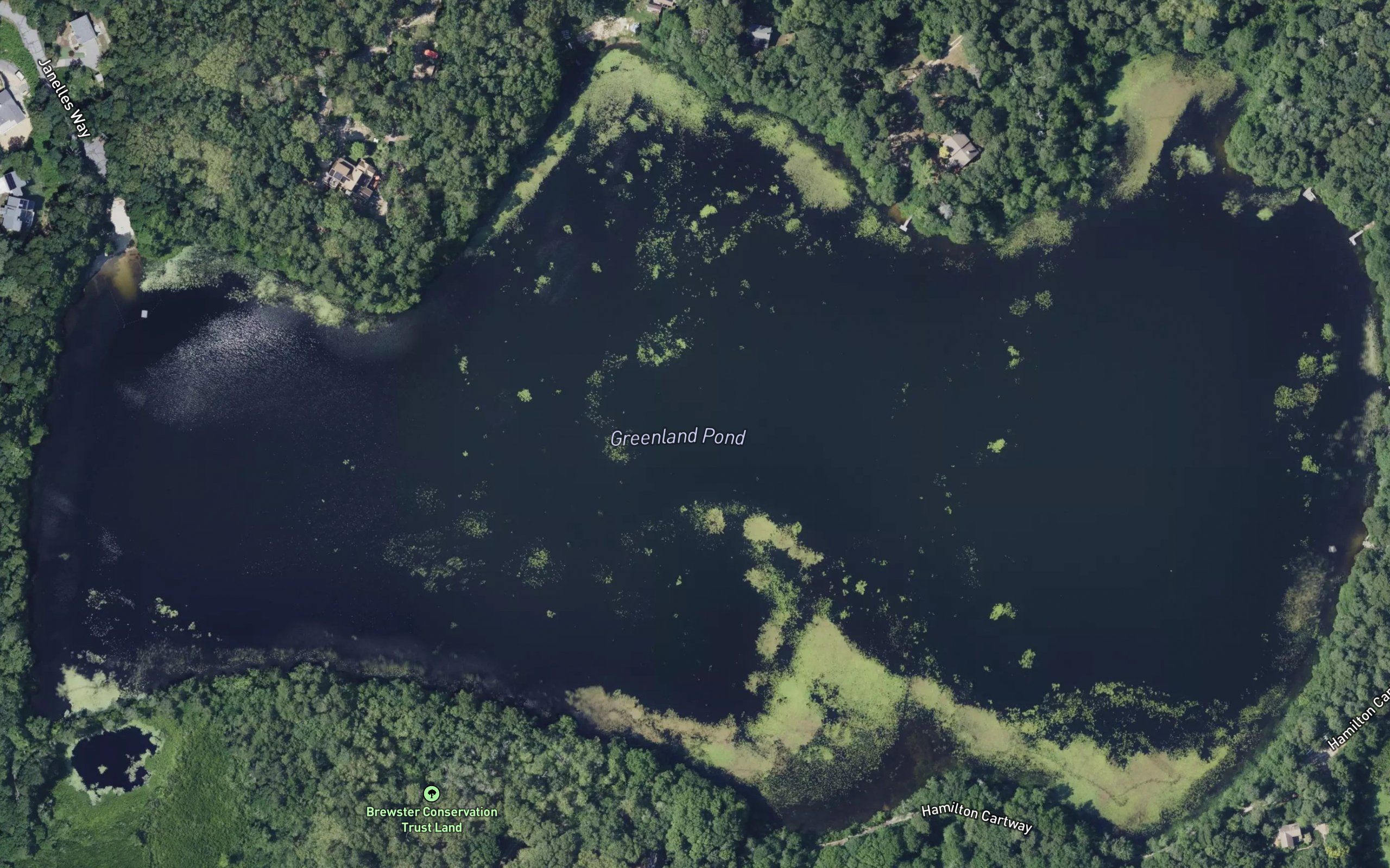 Greenland Pond