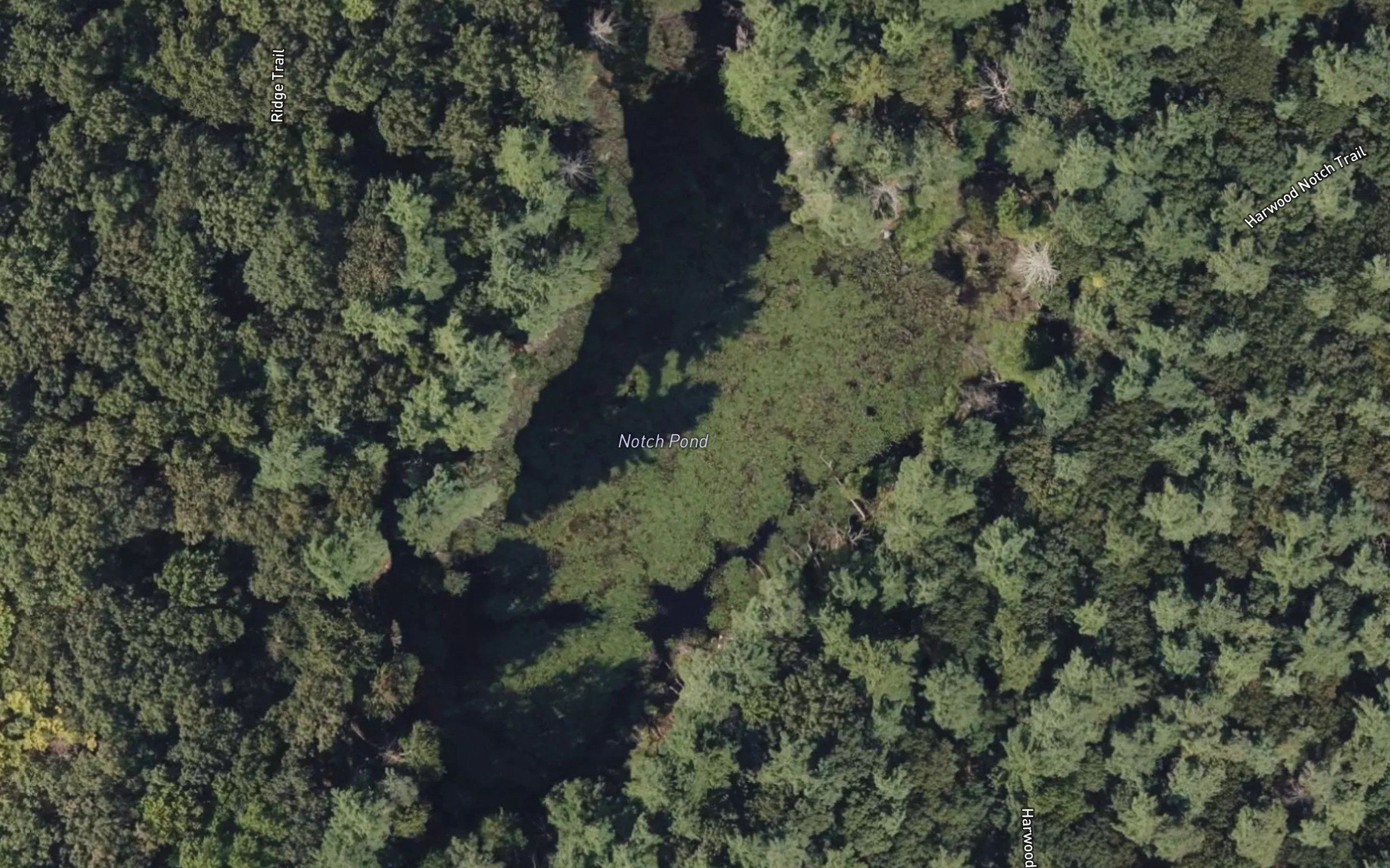 Notch Pond