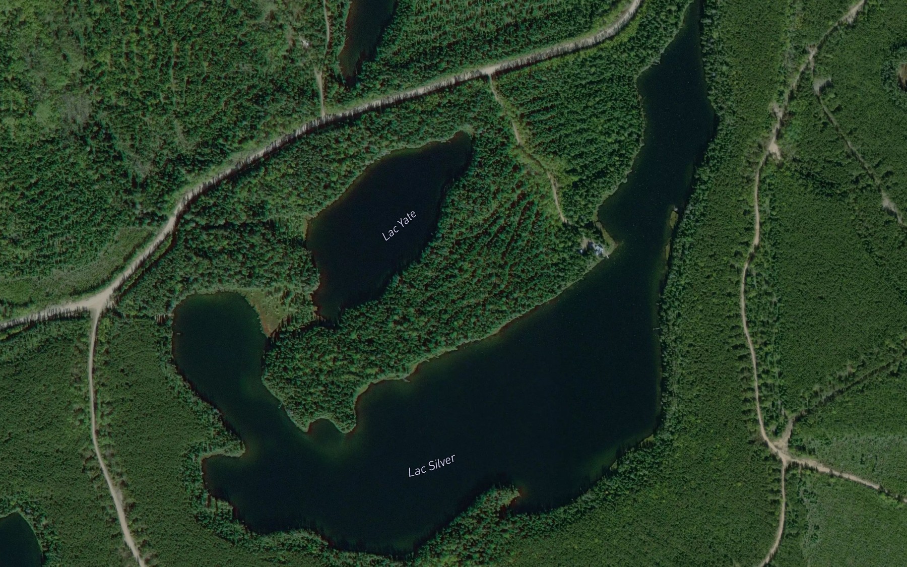 Satellite map of the Lac Silver
