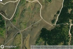 Mud Spring