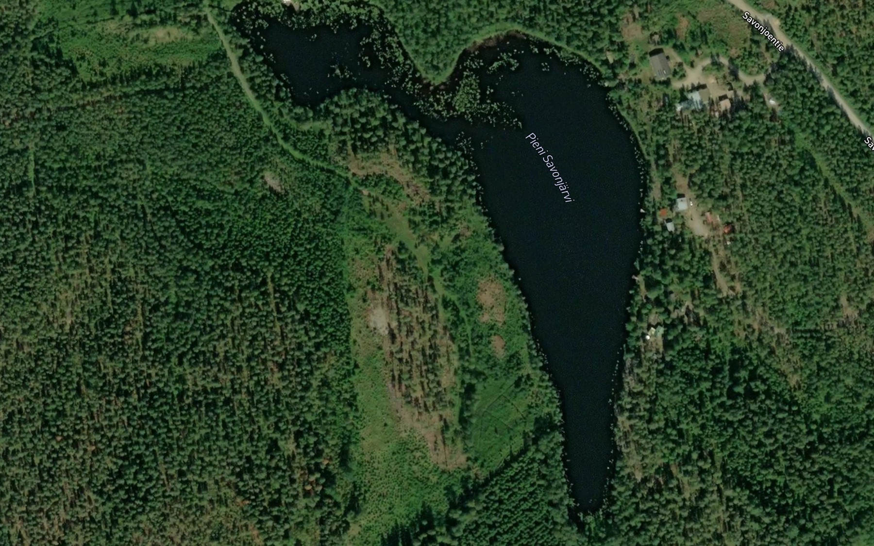 Satellite map of the Pieni Savonjarvi
