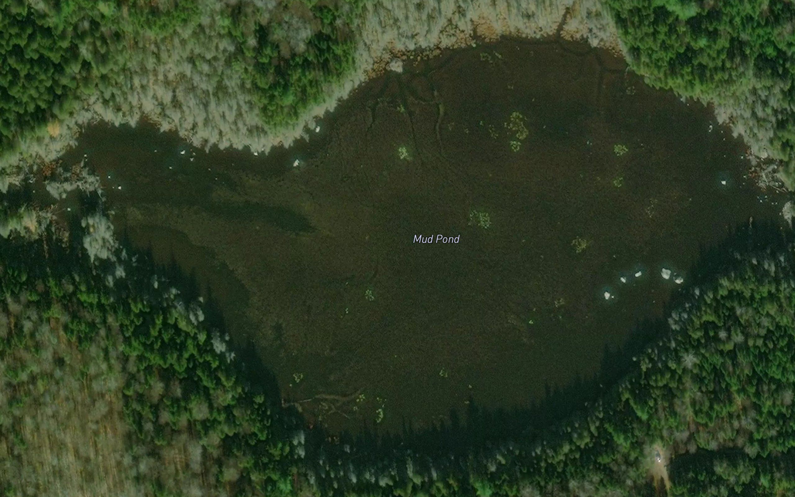 Mud Pond