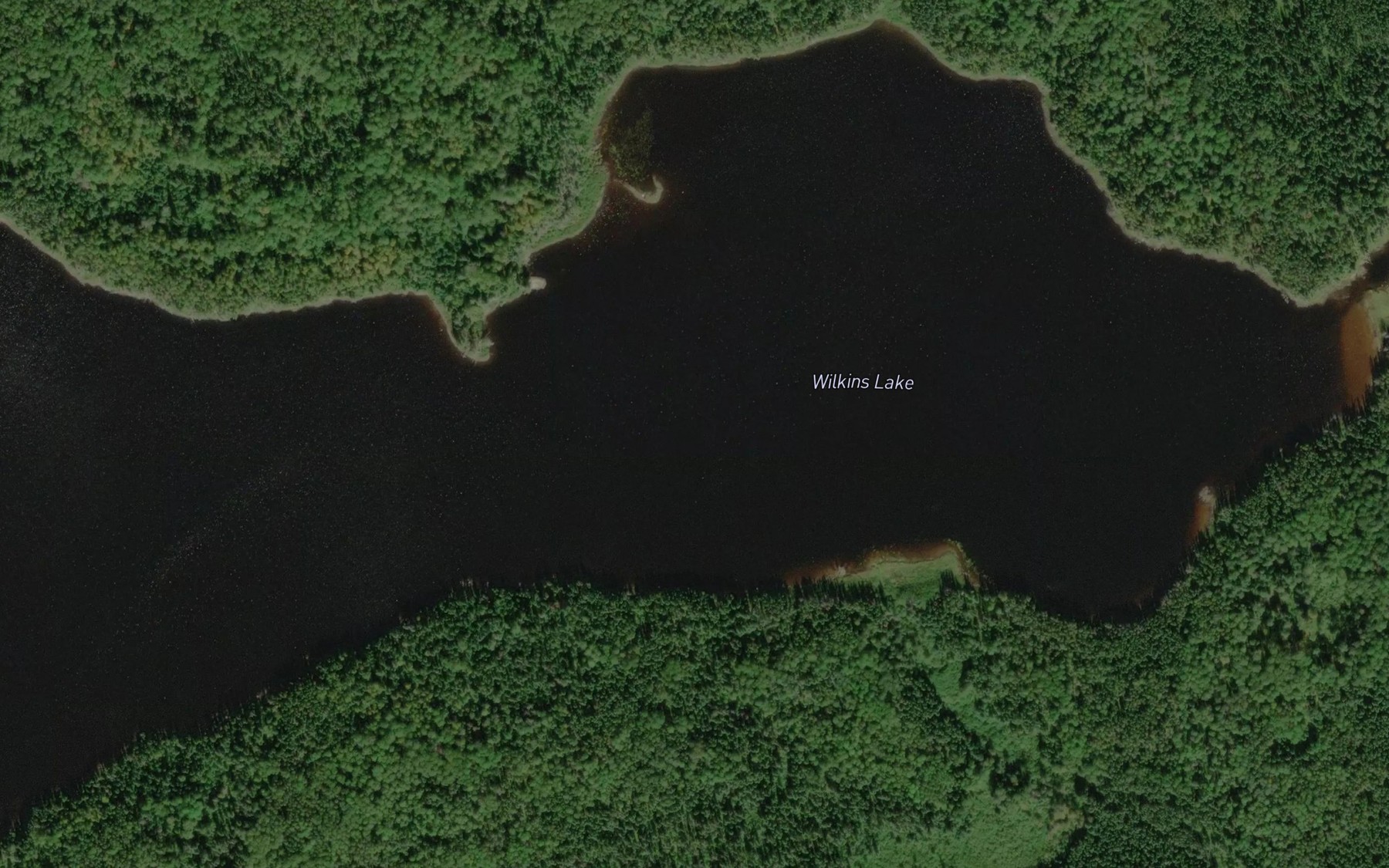 Satellite map of the Wilkins Lake