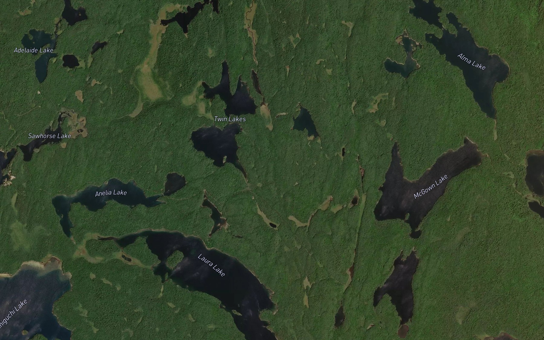 Satellite map of the Twin Lakes