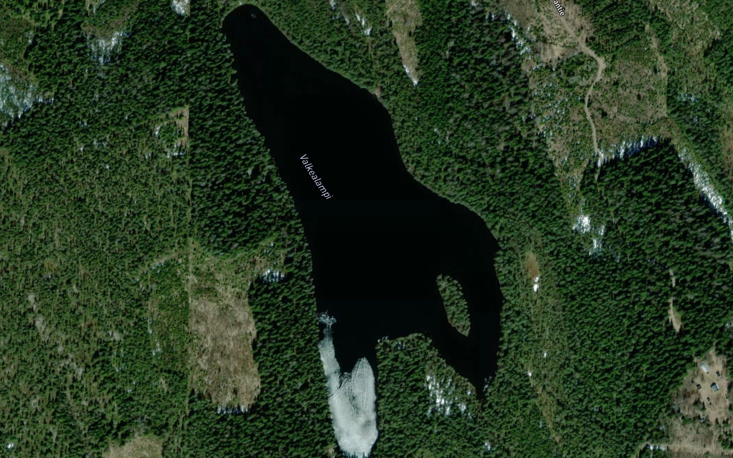 Valkealampi
