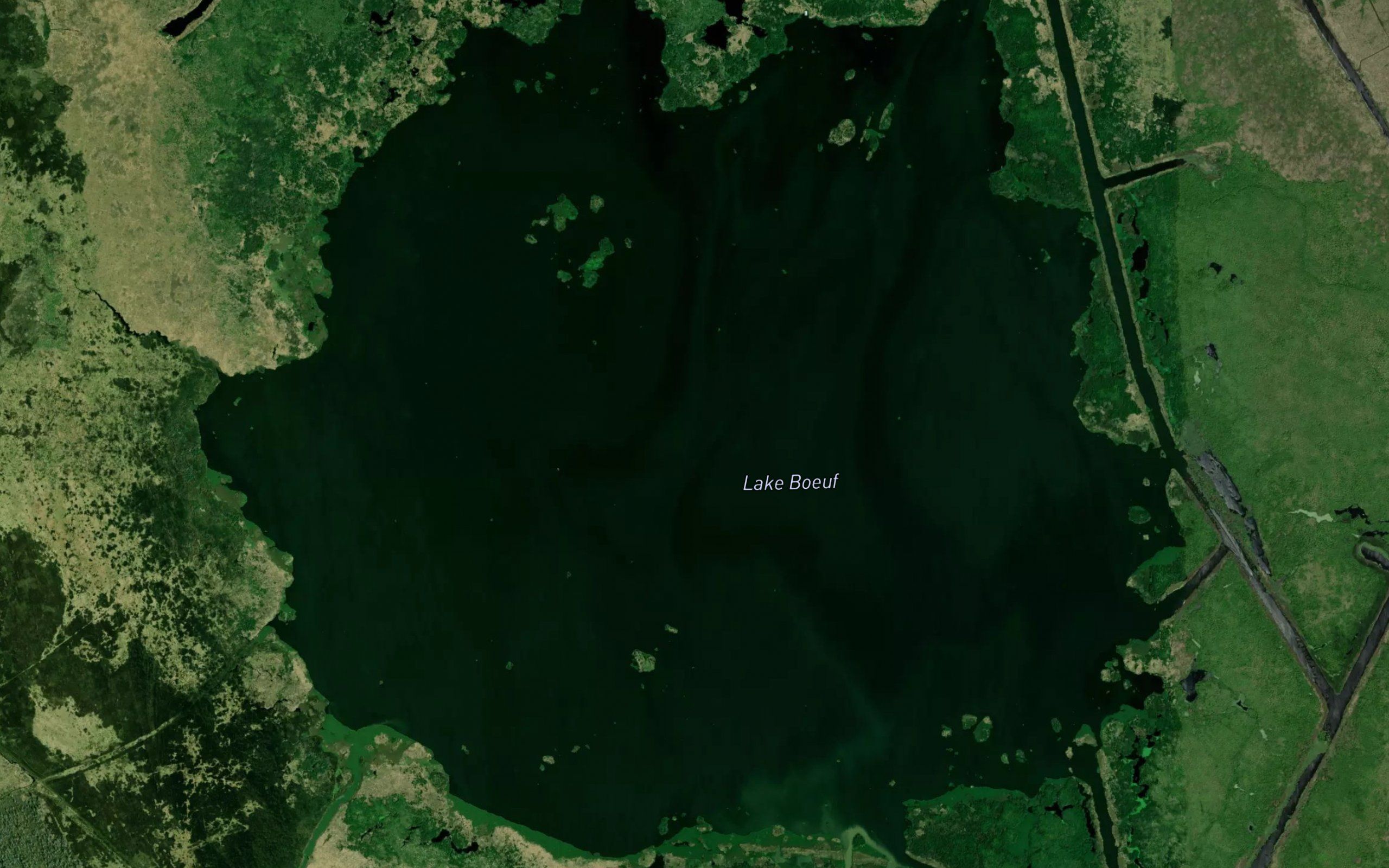 Lake Boeuf