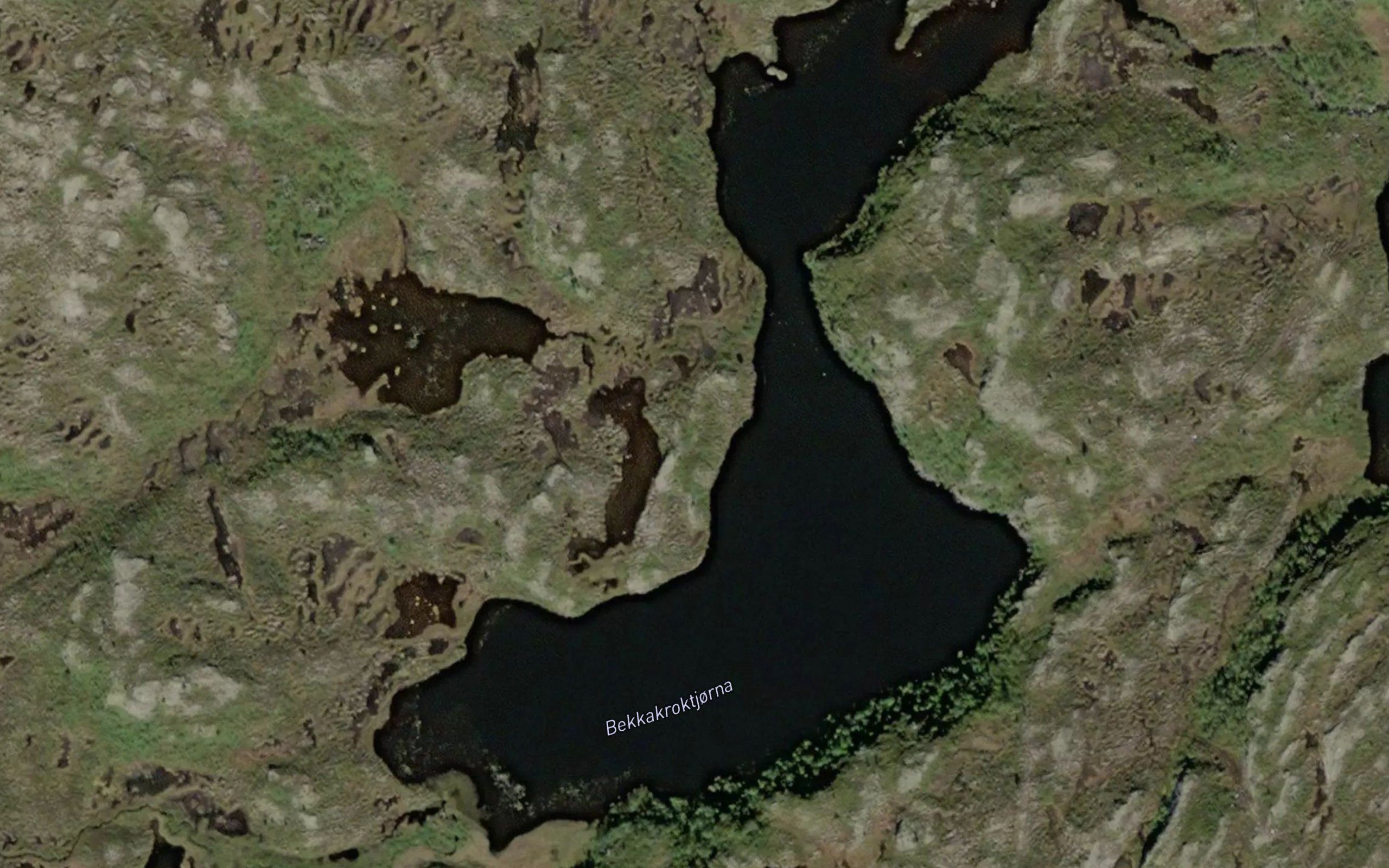 Bekkakroktjorna
