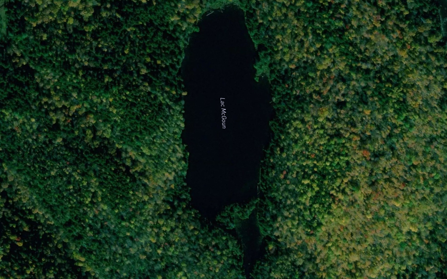 Satellite map of the Lac McGoun