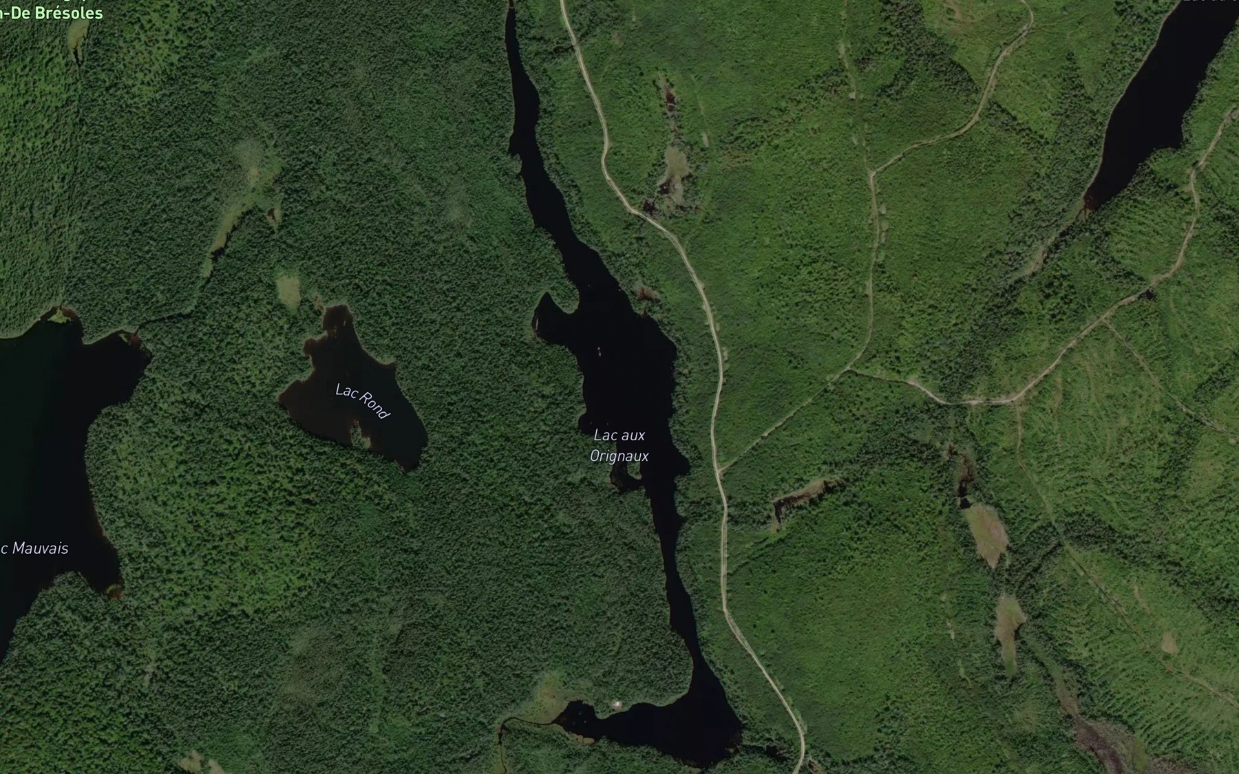 Satellite map of the Lac aux Orignaux