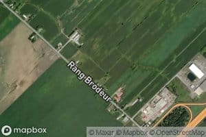 Ruisseau Plante