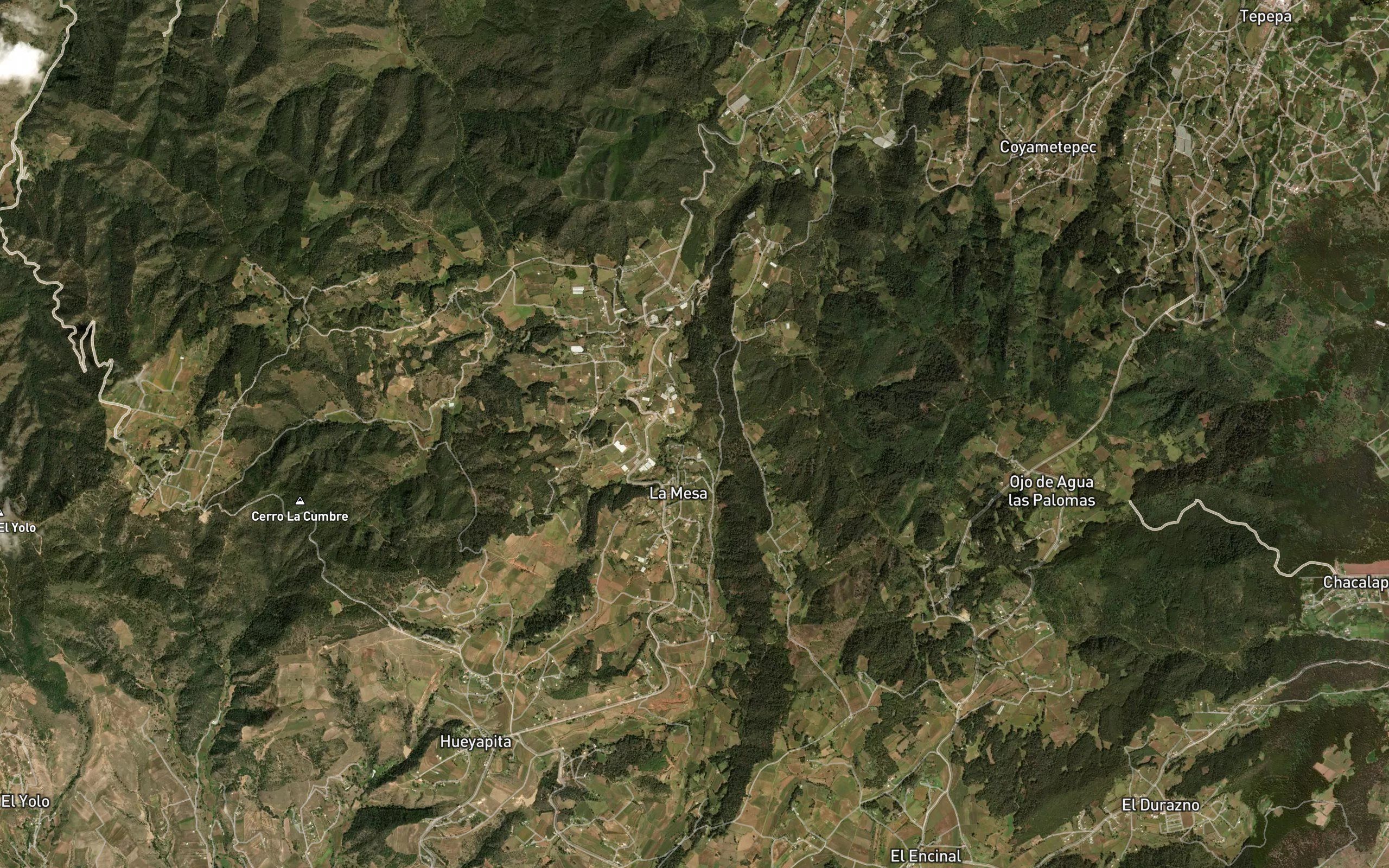 El Encinal