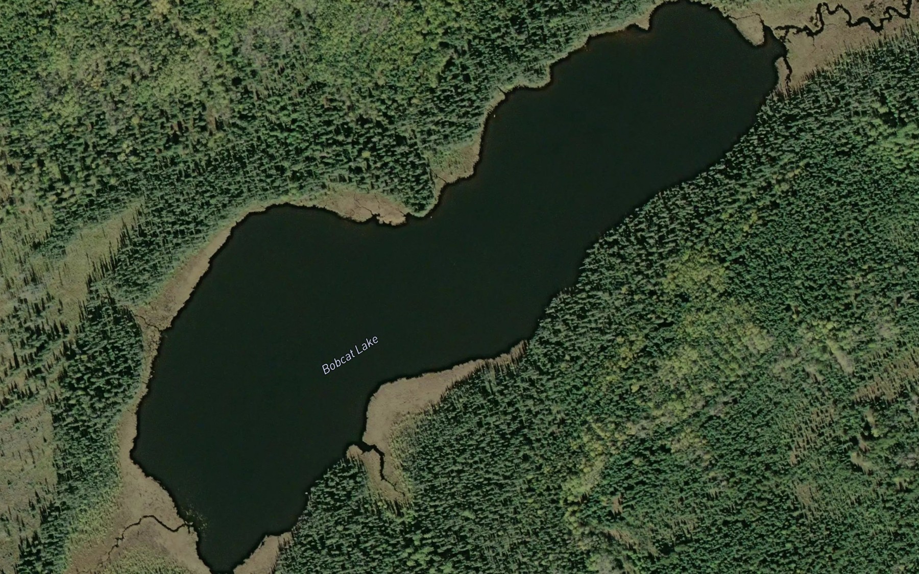 Satellite map of the Bobcat Lake